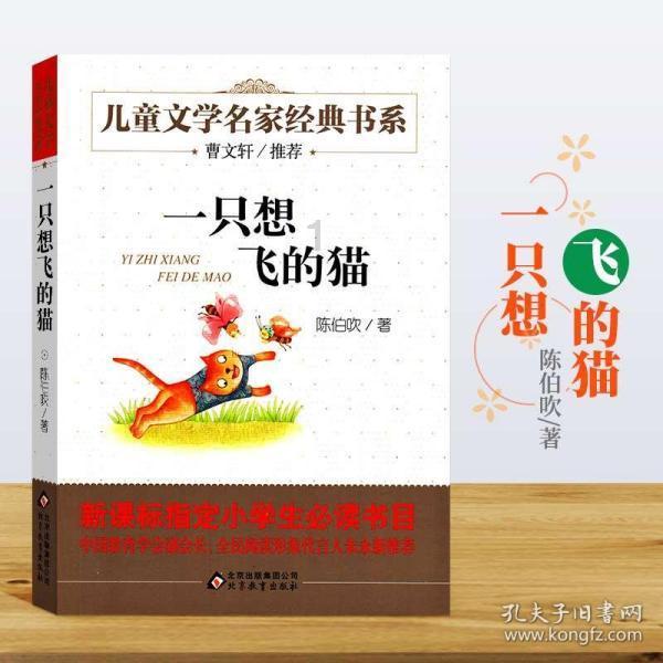 逃离残破的机舱