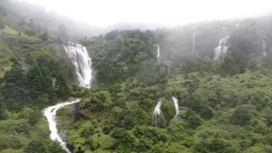 虫虫助手下载