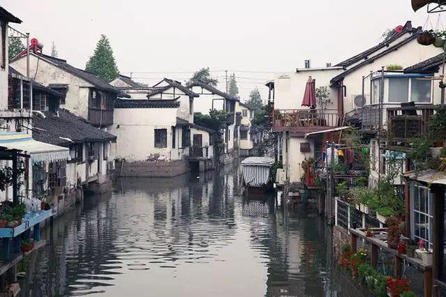 云南镇雄山体滑坡:搜救出8人 均无生命体征