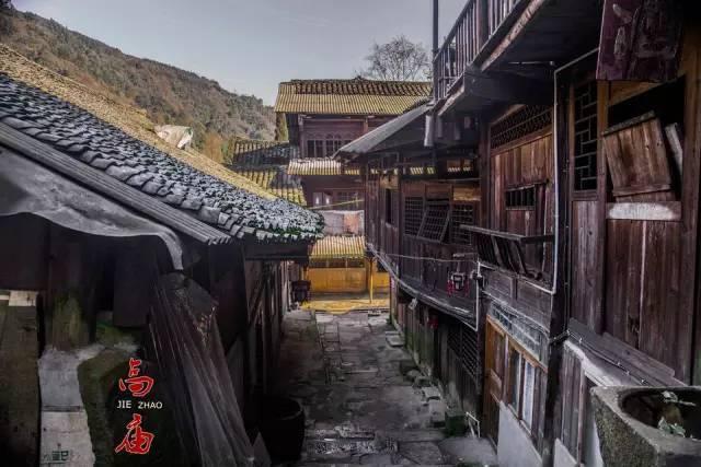 华大智造连跌两日后股价企稳:国际化尚在起步,美洲区业务占比极小