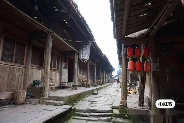 2024年职业生涯规划师证书考试指南